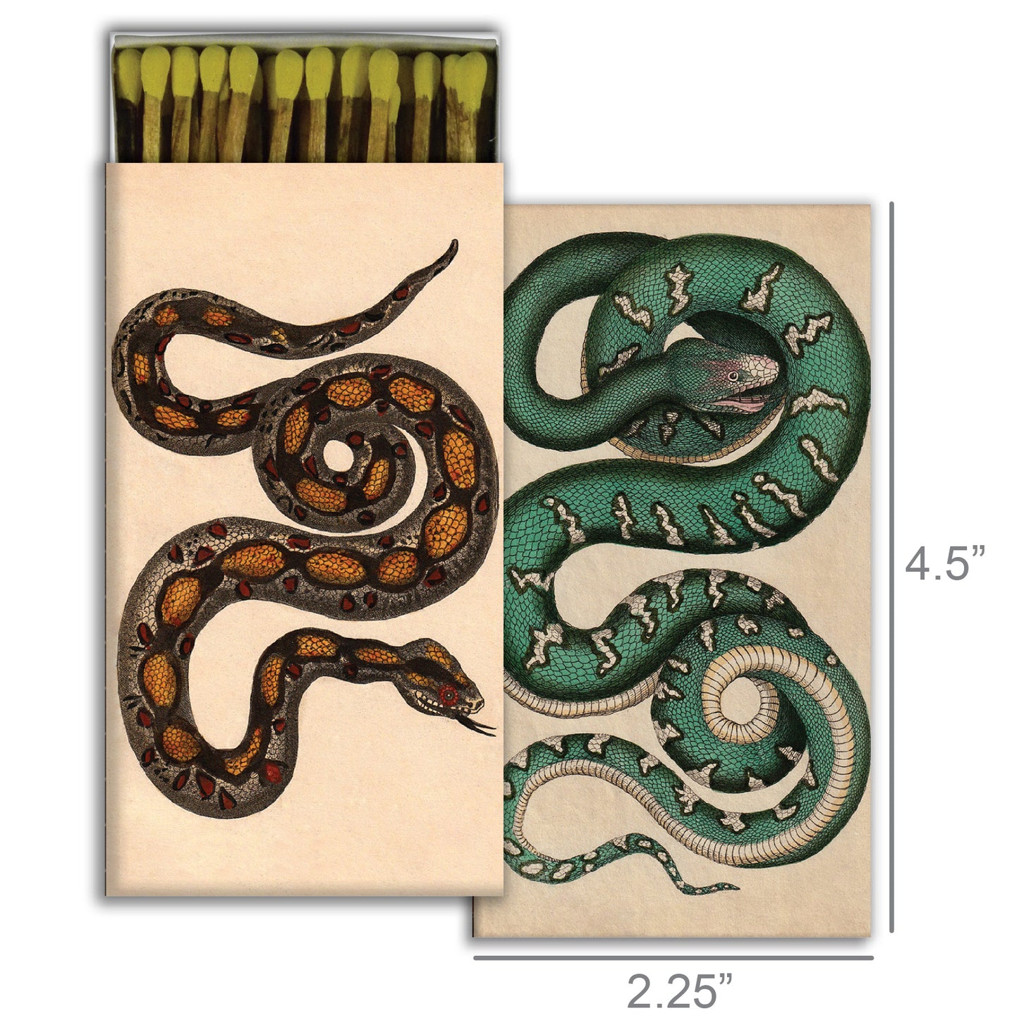 Matches - Rare Snakes