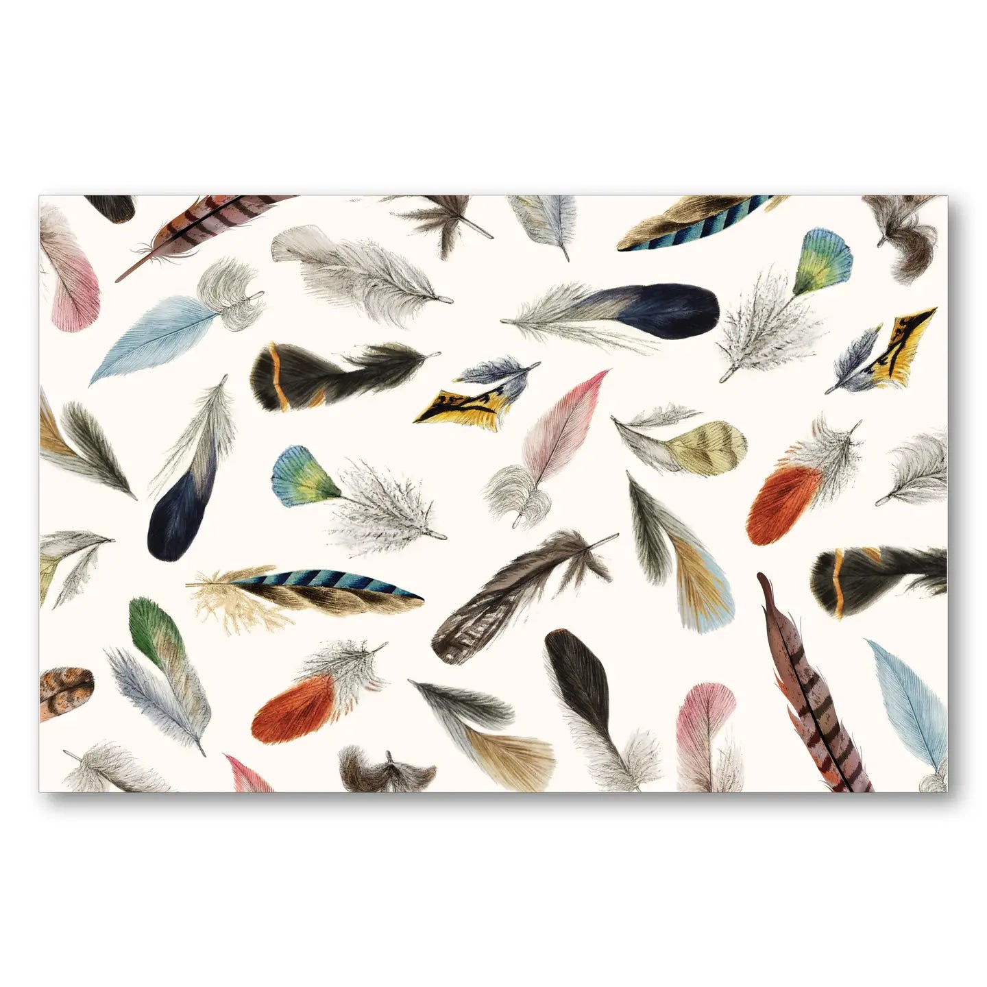 Feather Placemats
