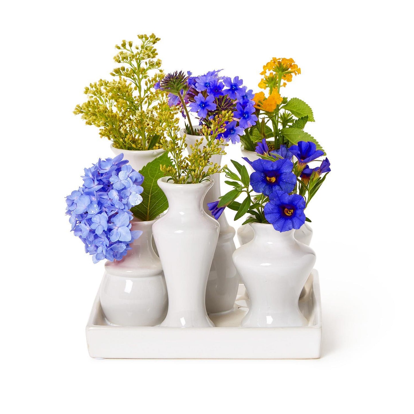 Six Vase Display on Base