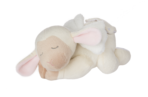 Sleepy Lamb