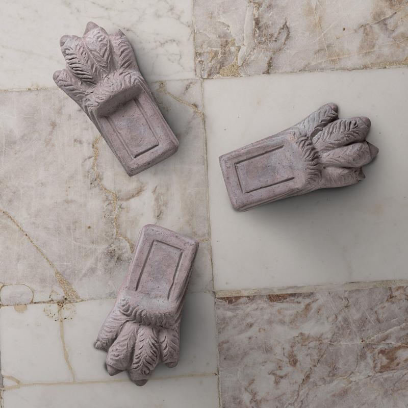 Lion Paw Grey Raw