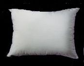 Boudoir Pillow Form 12x17