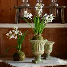 Age Garden Urn Large