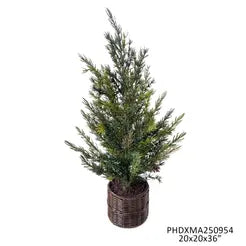 Potted Southern Fir Tree 36"