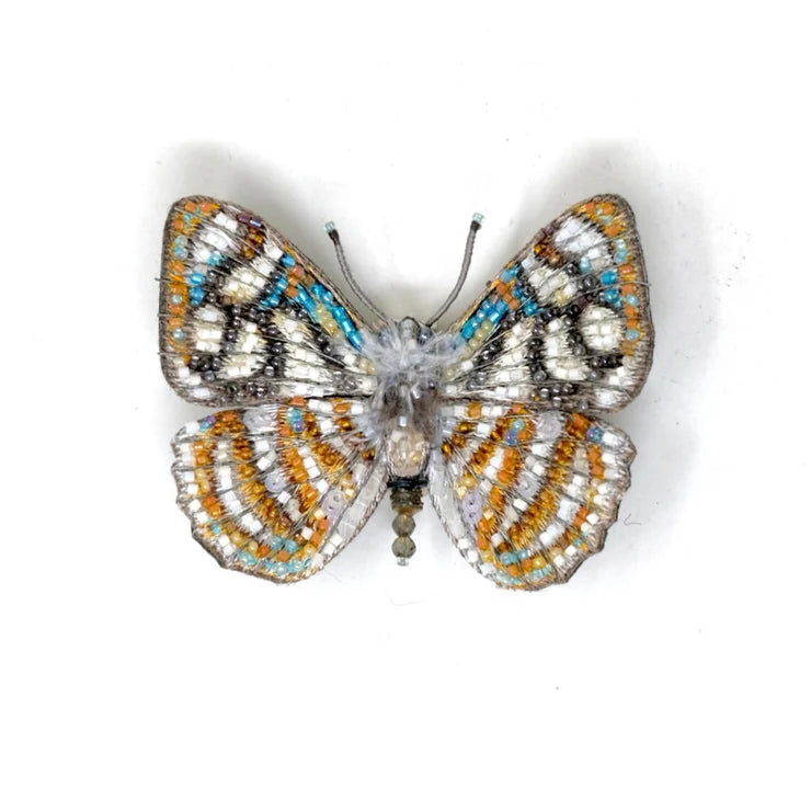 Racidula Sailor Butterfly Brooch