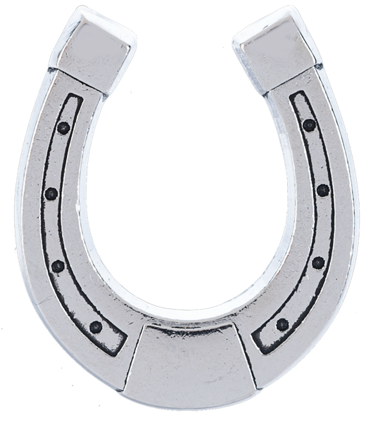 The Lucky Little Horseshoe Charms