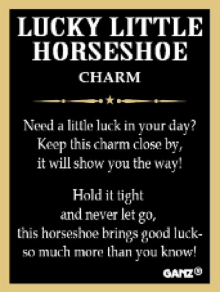The Lucky Little Horseshoe Charms