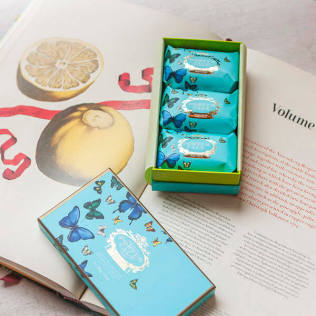 Portus Cale Butterflies Soap Set