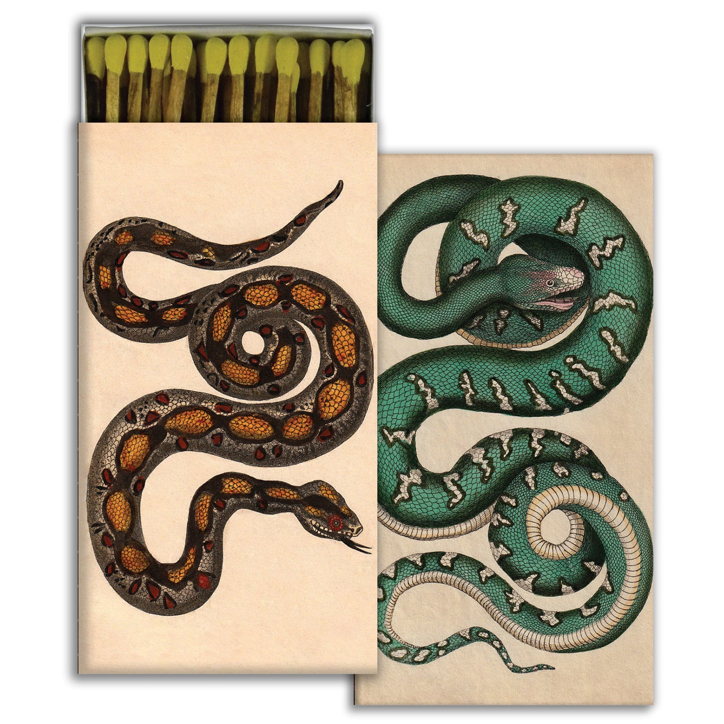 Matches - Rare Snakes