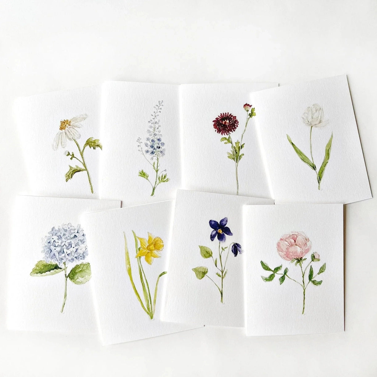 Garden Flowers Assorted Notecard Set