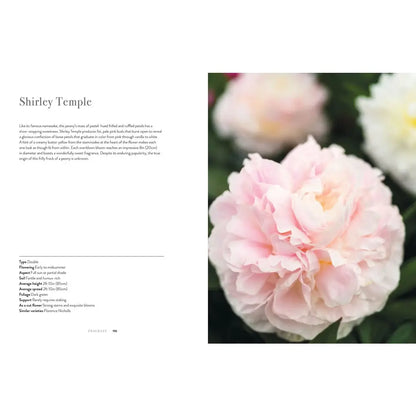 Peonies: Beautiful Varieties for Home and Garden