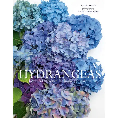 Hydrangeas: Beautiful Varieties for Home and Garden