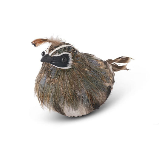 Feathered Quail