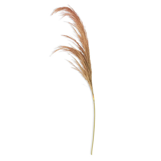 45" Dried Beige Pampas Stem