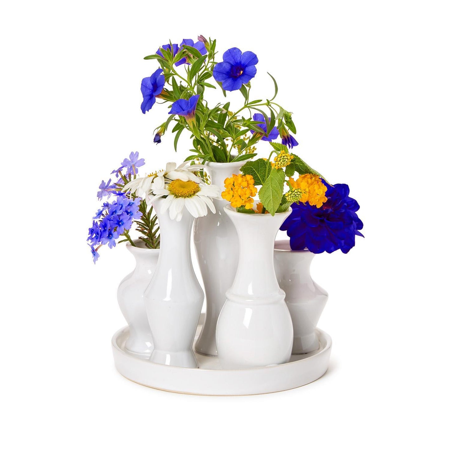 Six Vase Display on Base