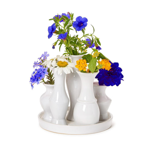 Six Vase Display on Base