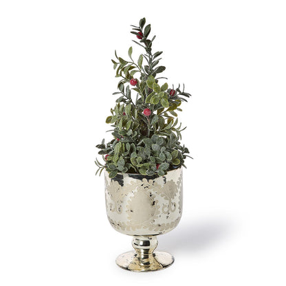 Etched Mercury Glass Cacehpot