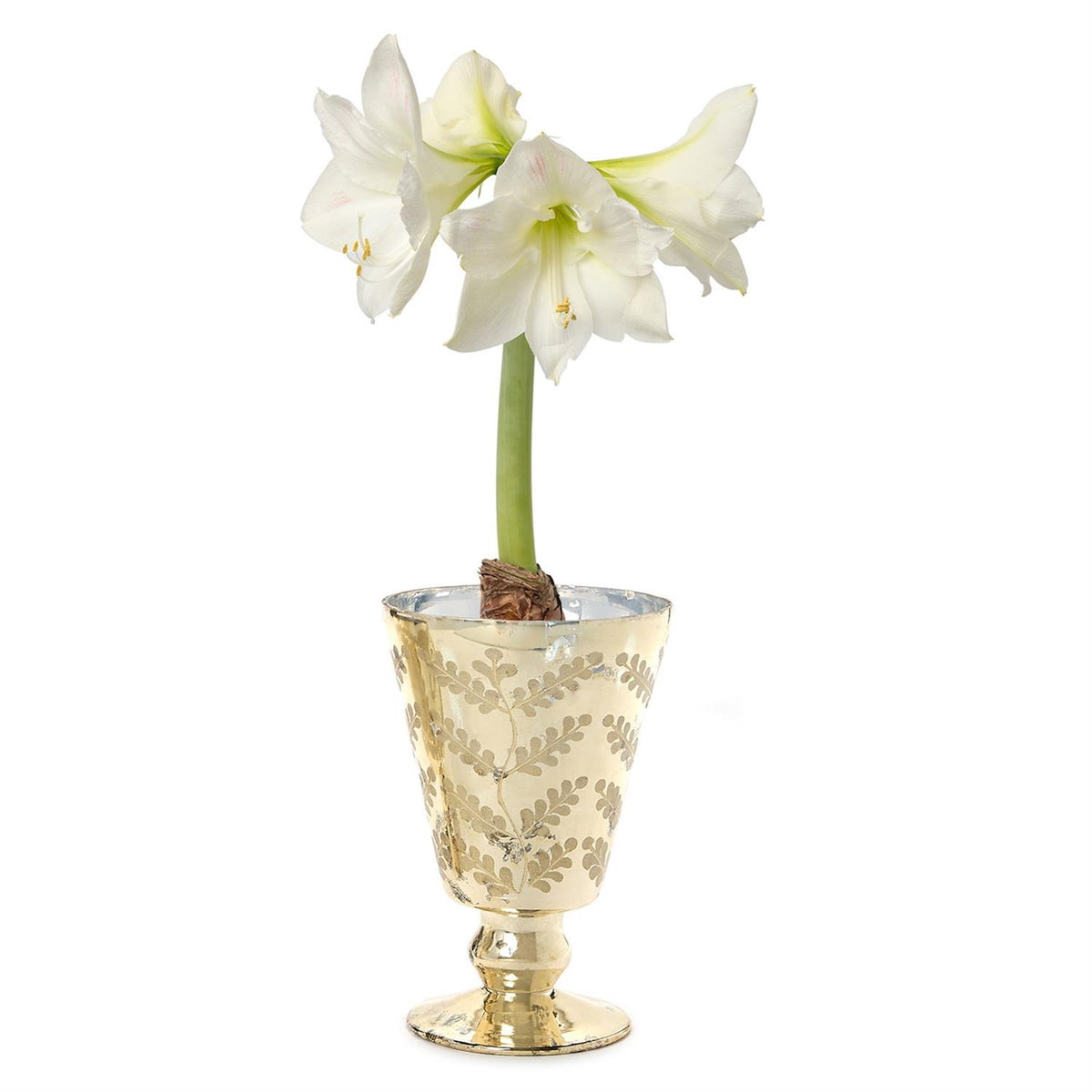 Etched Mercury Glass Cacehpot
