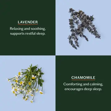 Kate McLeod Sleep Stone Starter Kit
