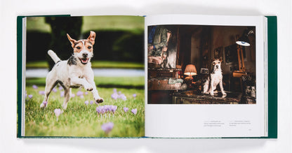 Country Life's Book of Dogs