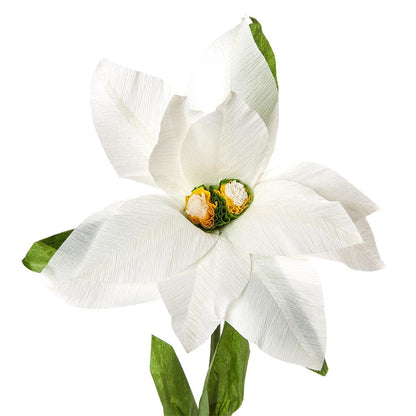 Paper Poinsettia on Stand