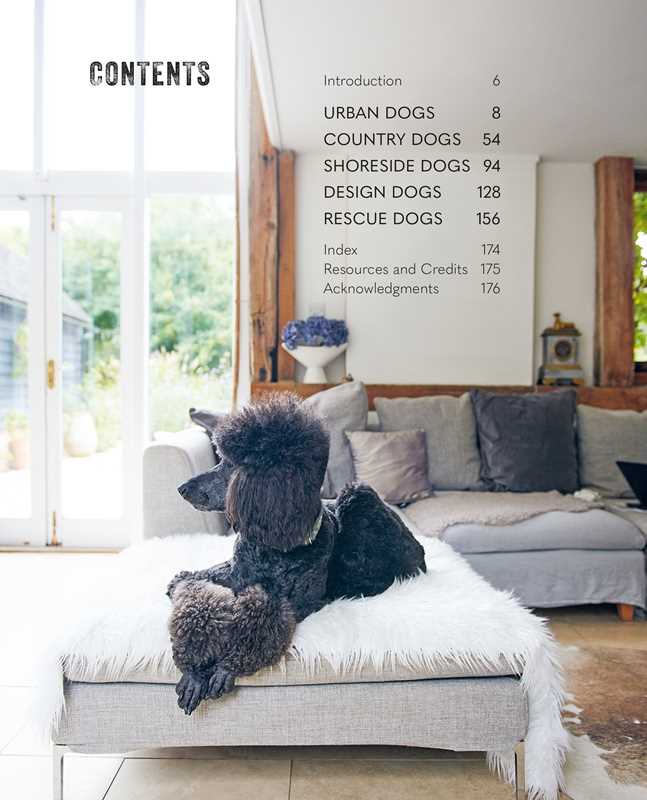 Cool Dogs, Cool Homes By Geraldine James