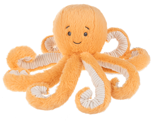 Coral Octopus