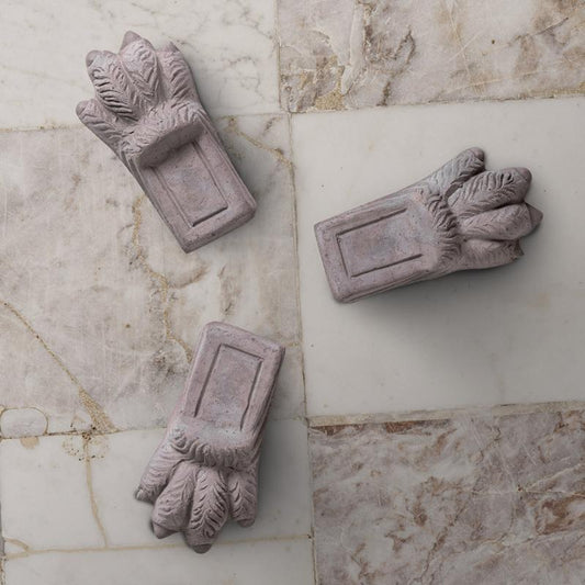 Lion Paw Grey Raw
