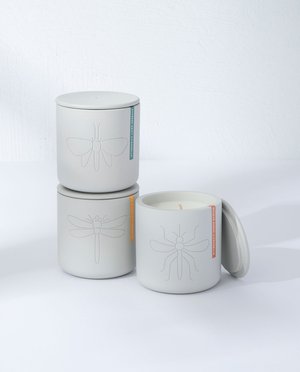 Cypress Drift Modern Citronella Candle