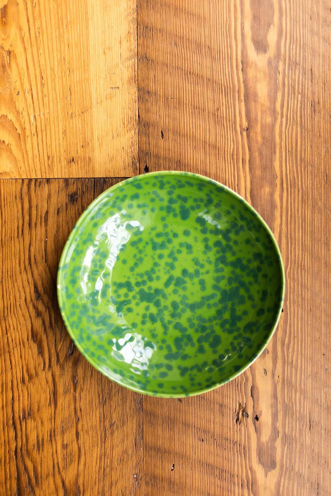 Tortoise Soup Plate - Cilantro