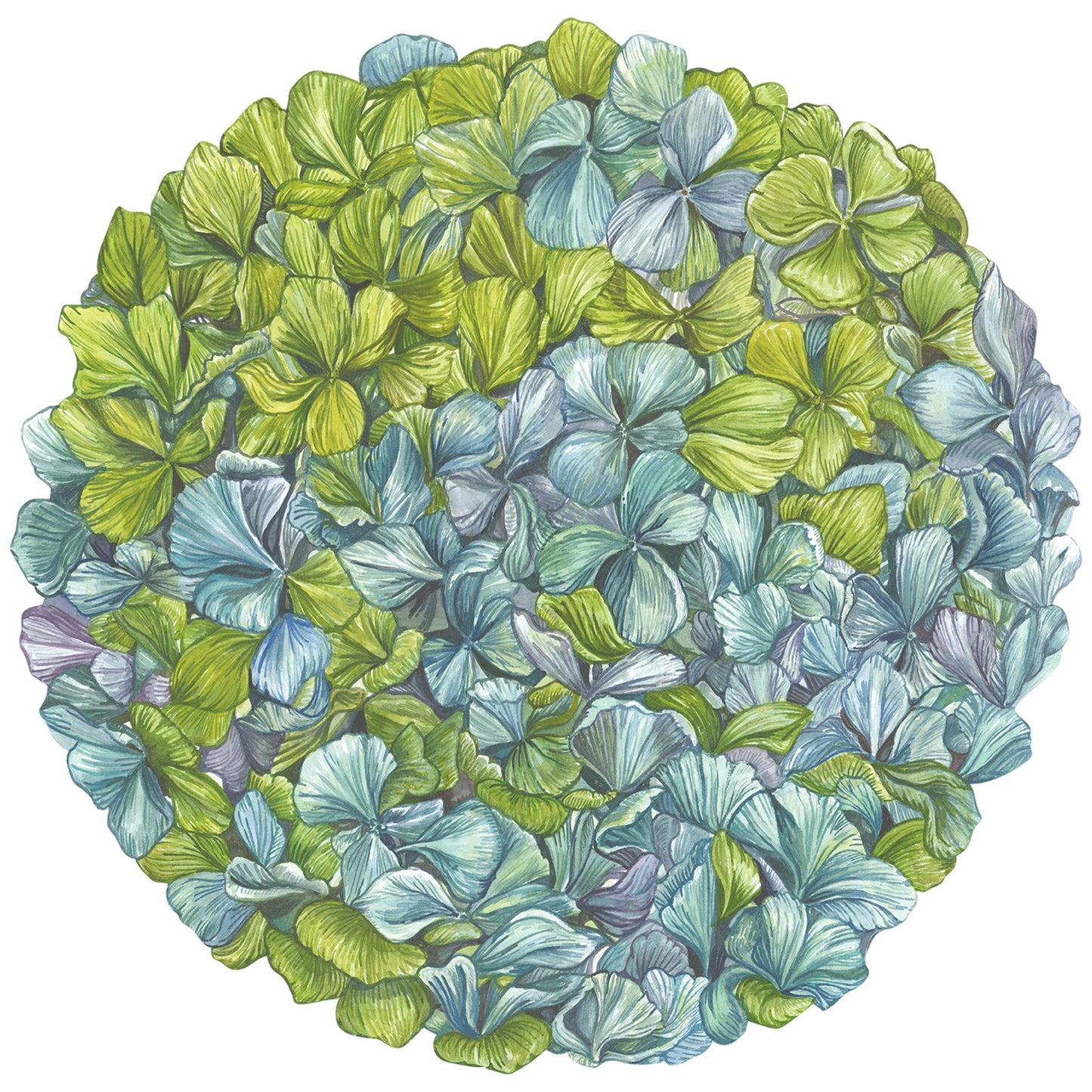 Die Cut Hydrangea Placemats