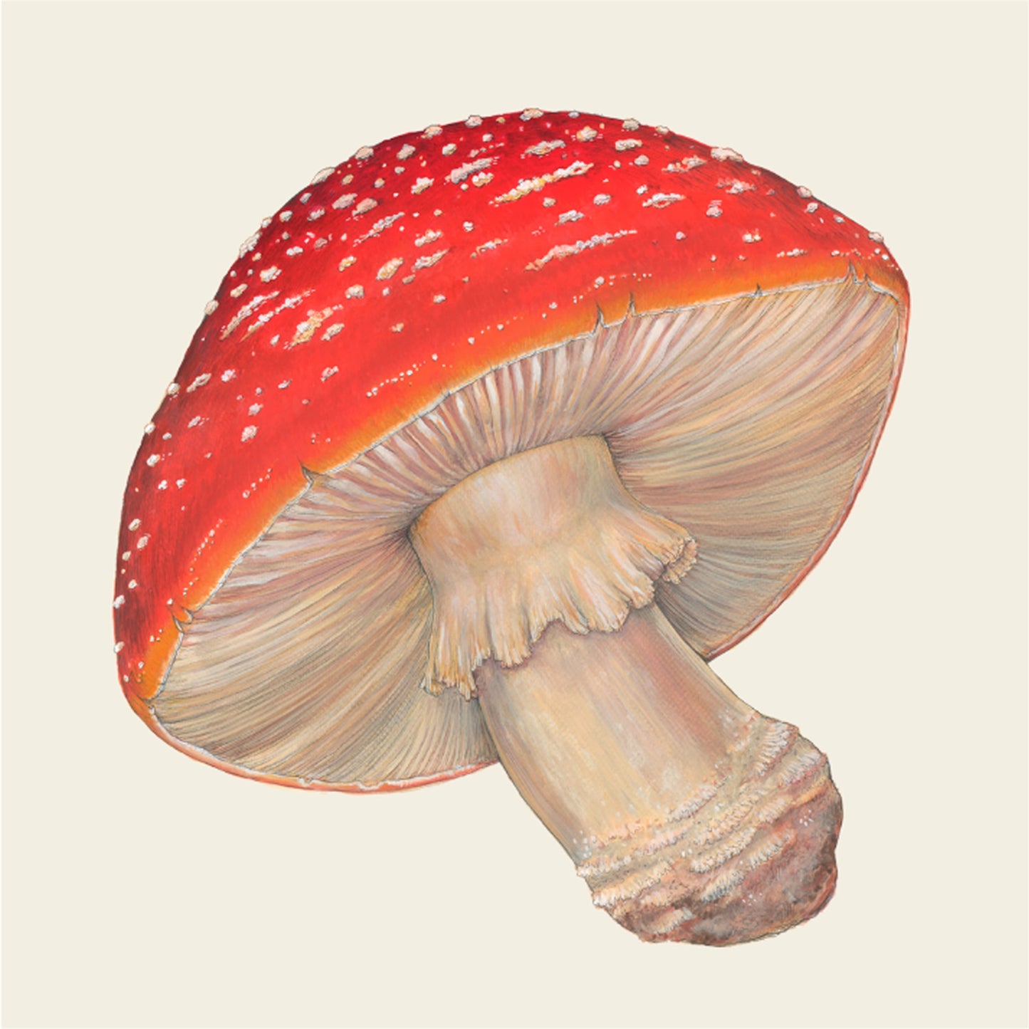Mushroom Cocktail Napkin
