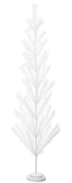 White Pompass Tree