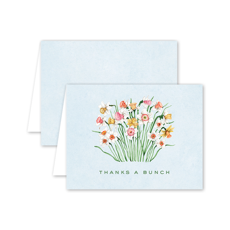 Kathryn's Daffodils Thank You - Boxed Set