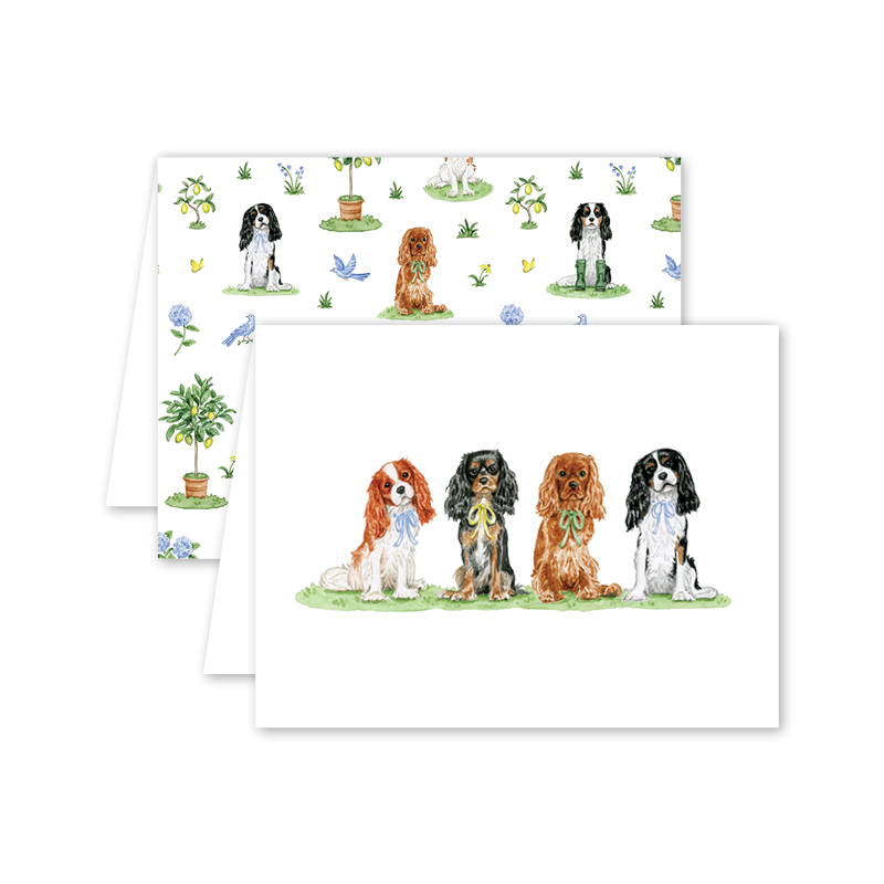 Cavalier Garden - Boxed Set - 8 Cards & Envelopes