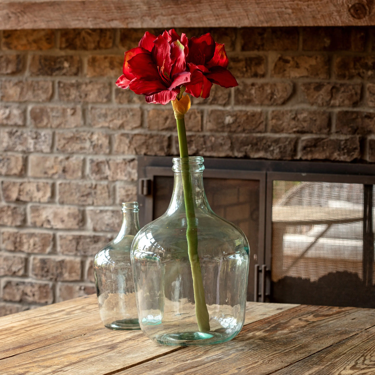 Amaryllis Stems