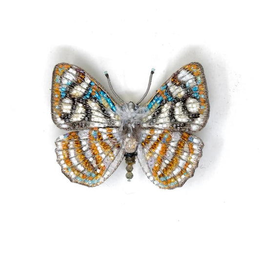 Racidula Sailor Butterfly Brooch