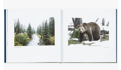 Yellowstone