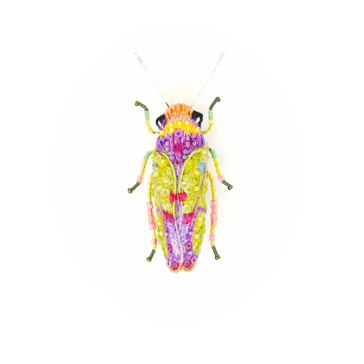 Sharpshooter Beetle Brooch Pin