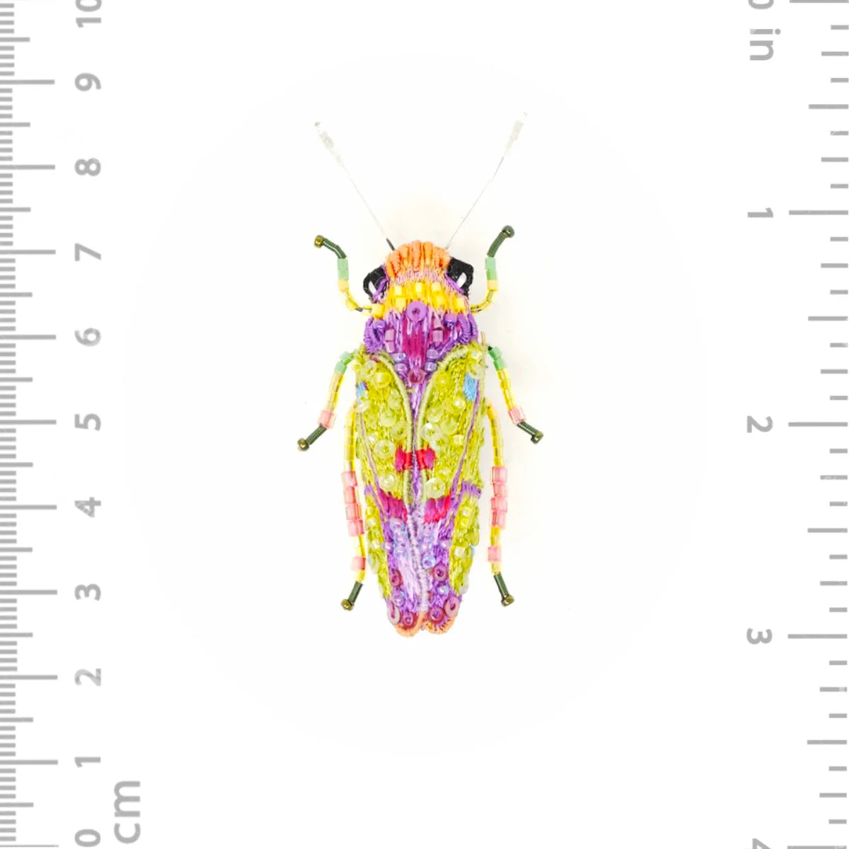 Sharpshooter Beetle Brooch Pin