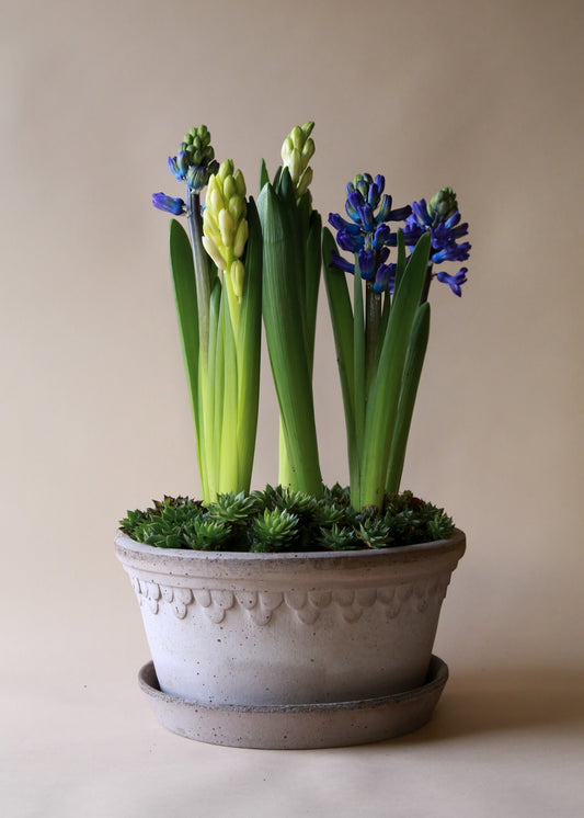 Københavner Plant Pot Raw Grey, Low Set