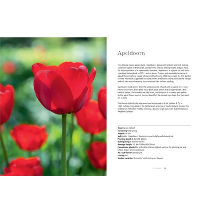 Tulips: Beautiful Varieties for Home and Garden