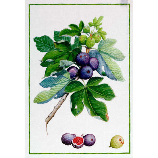 Demetra-Fichi Tea Towel - Green