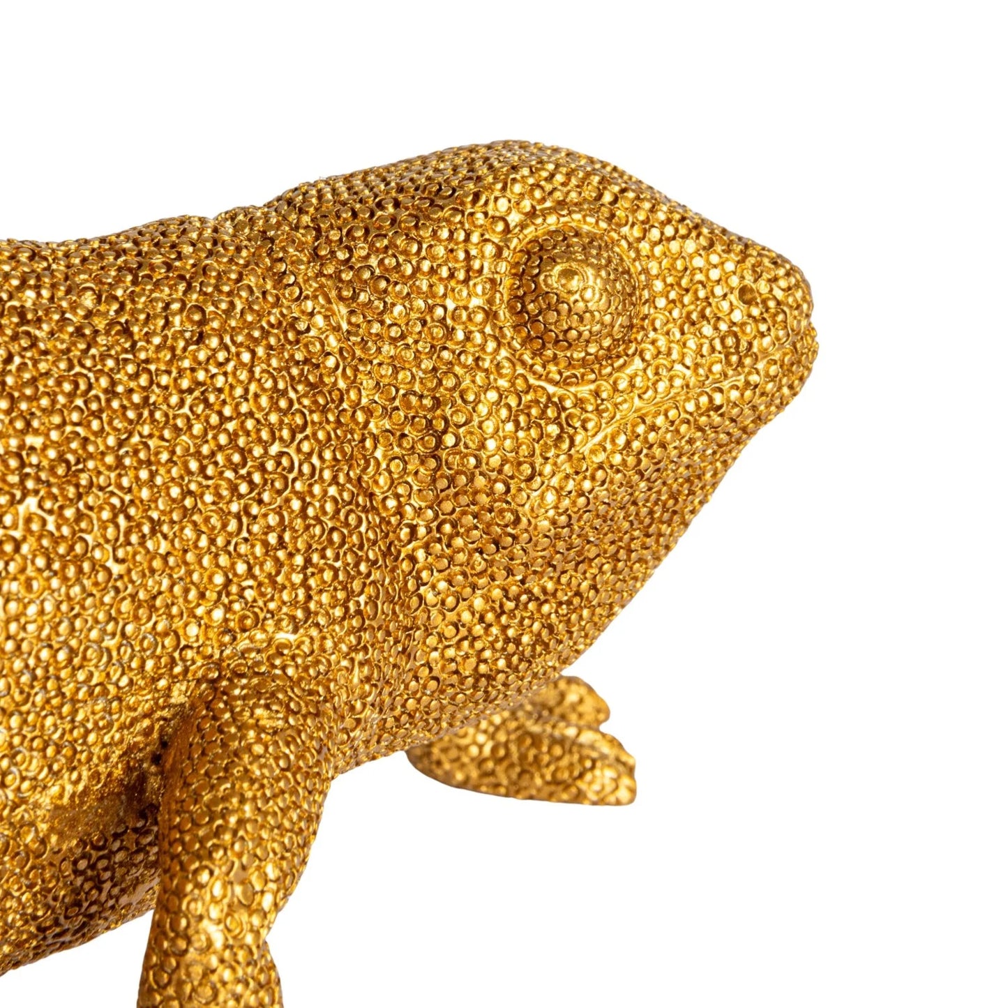 Chameleon with Glass Vase