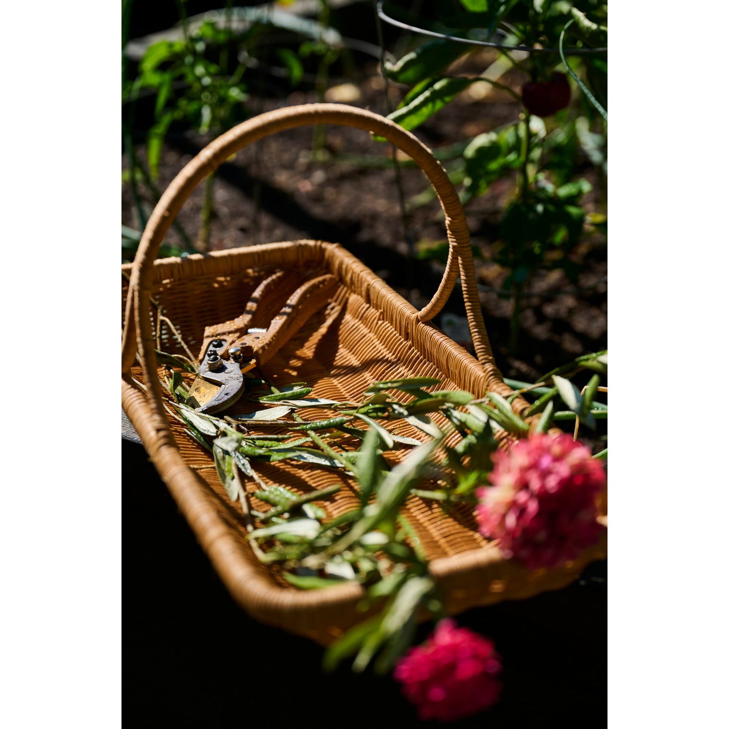 Gardening Shears w Wood Finish