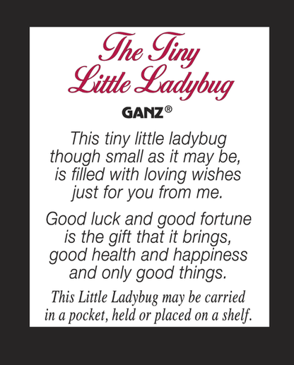 Little Lady Bugs
