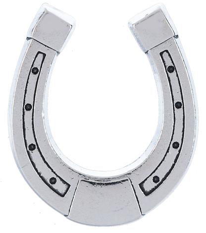 The Lucky Little Horseshoe Charms