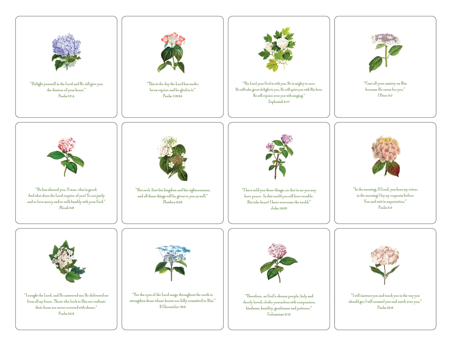 Hydrangea Quote Set 5.5"