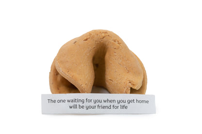 Fortune Cookies