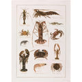 La Mer Crostacei Tea Towel